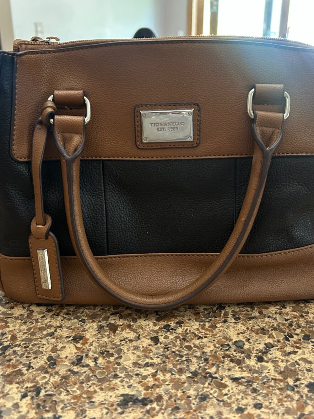 Tignanello All Leather Satchel Handbag